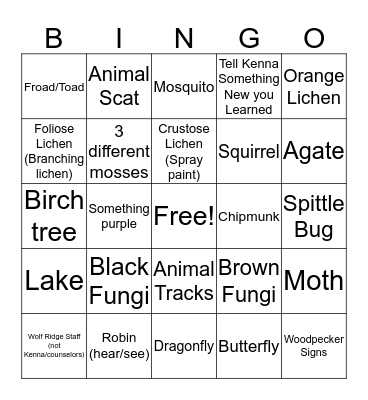 4 Kingdoms BINGO Card