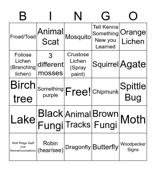 4 Kingdoms BINGO Card