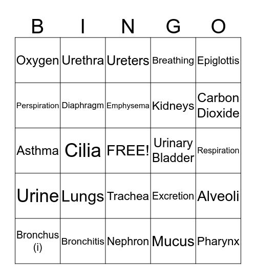 Respiratory & Excretory Systems BINGO Card