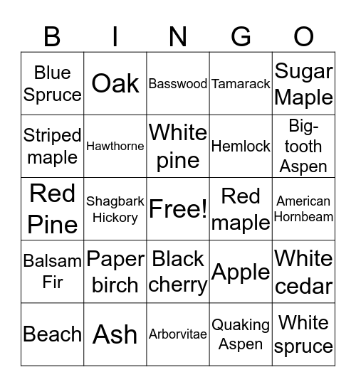 Tree I.D. Bingo Card