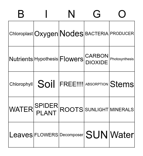 All About Plants!!!!! Bingo Card