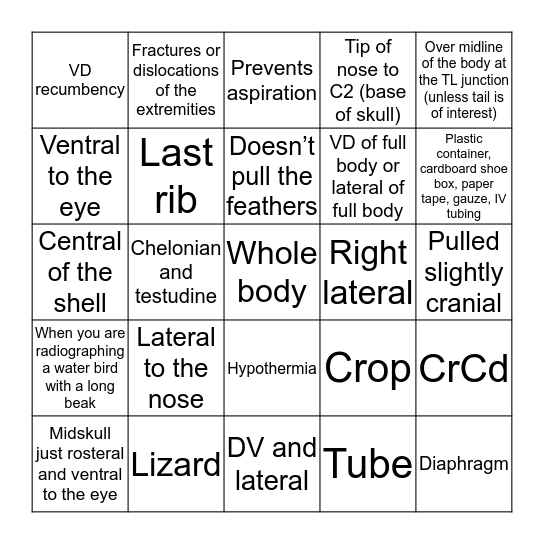 Exotic Radiology Review Side 1 Bingo Card