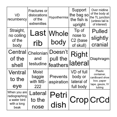 Exotic Radiology Review Side 1 Bingo Card