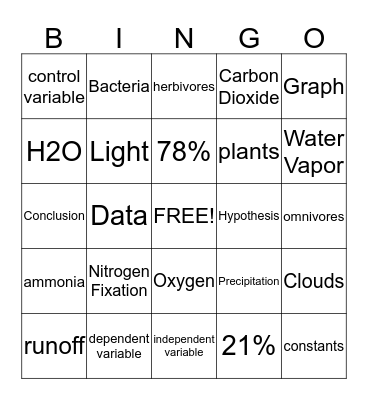 How Much Do You Know? Bingo Card