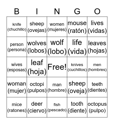 Singular and Plural Nouns Bingo Card