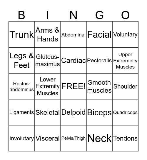 Muscular System  Bingo Card