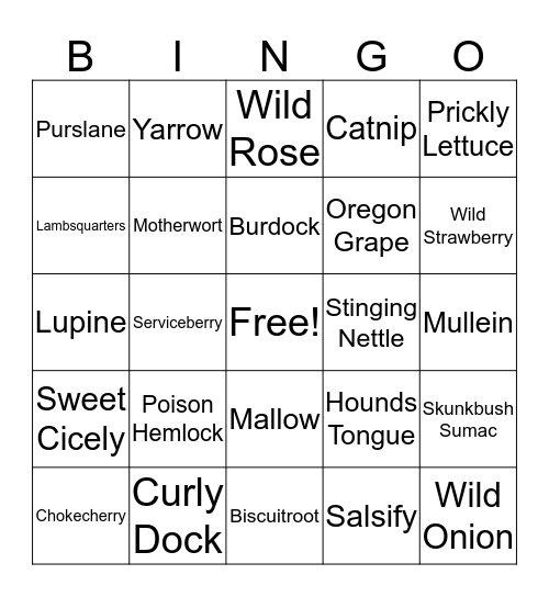 Plant Identification Bingo Card