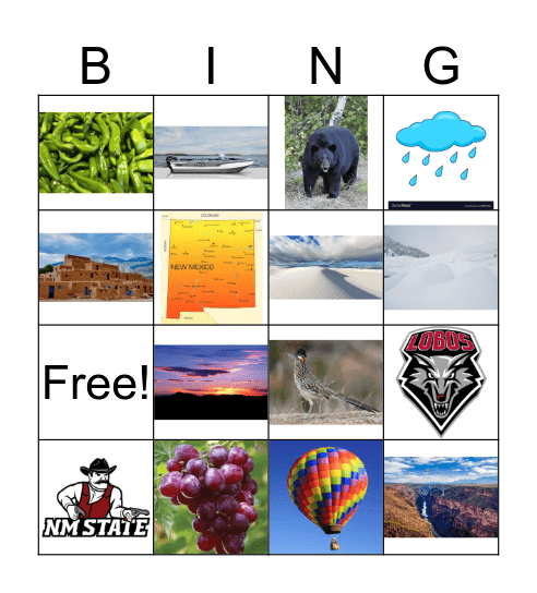 All About NM Bingo Card
