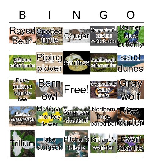 Restoration Bingo Card