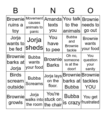 Pet Sitting Bingo Card