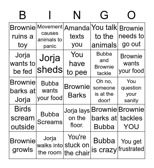 Pet Sitting Bingo Card