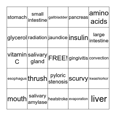 Digestion, Nutrition & Metabolism Bingo Card