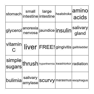 Digestion, Nutrition & Metabolism Bingo Card