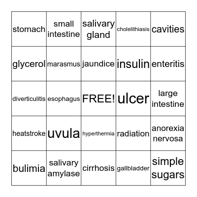 Digestion, Nutrition & Metabolism Bingo Card
