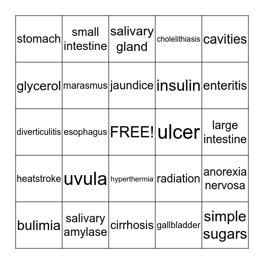 Digestion, Nutrition & Metabolism Bingo Card