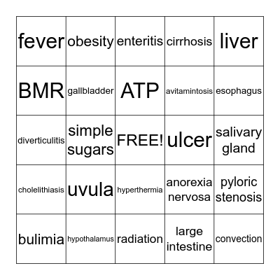 Digestion, Nutrition & Metabolism Bingo Card