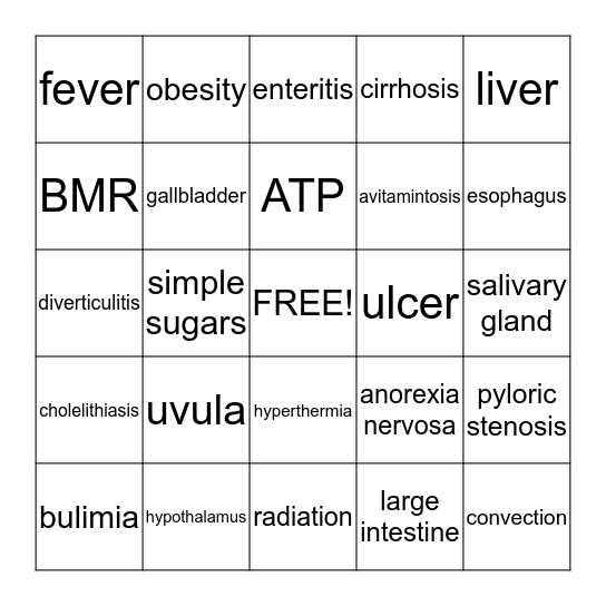 Digestion, Nutrition & Metabolism Bingo Card