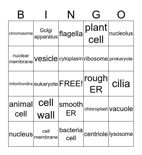 Parts of the Cell Bingo Card