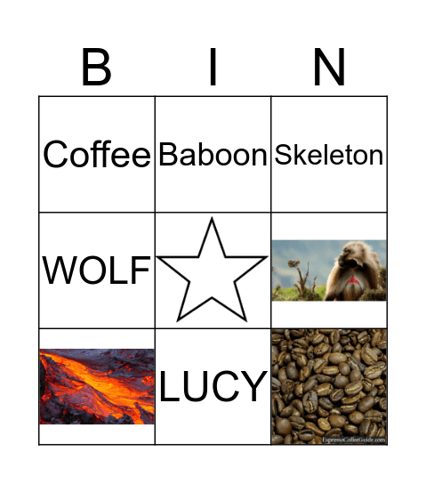 Ethiopia Bingo Card