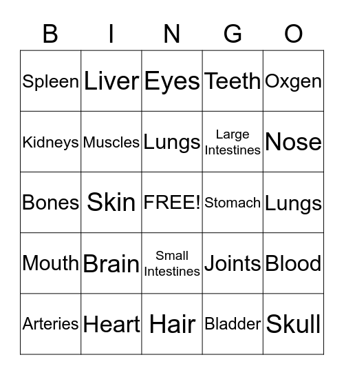 Human Body Bingo Card