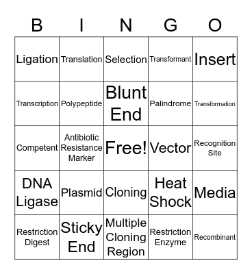 Recombinant DNA Technology Bingo Card