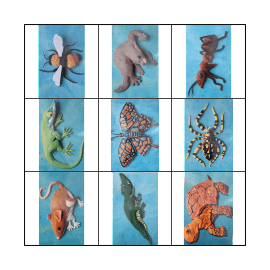 Animals! Bingo Card