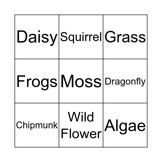 Water Front Bingo Card