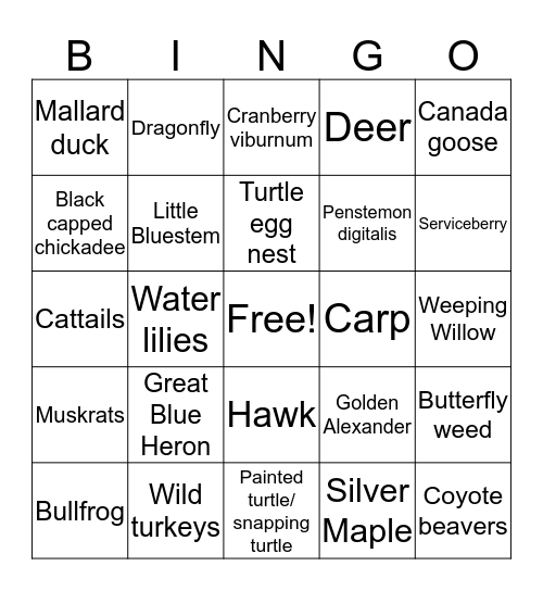 Alewife Wetlands BINGO Card