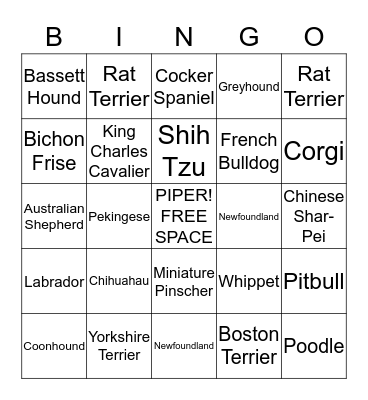 PUPPY BINGO Card