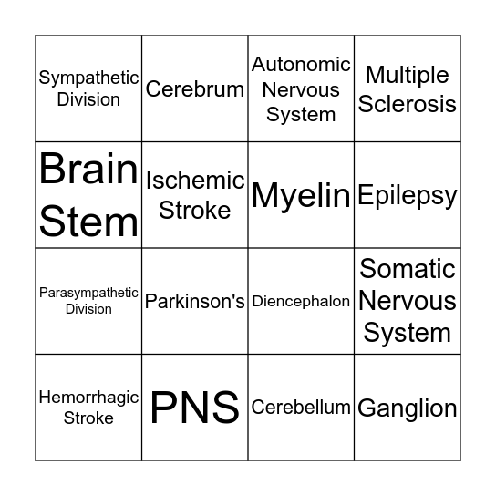 Nervous System Bingo Card