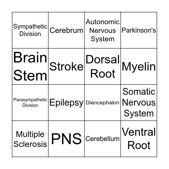 Nervous System Bingo Card