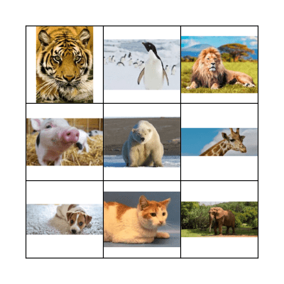 Animals Bingo Card