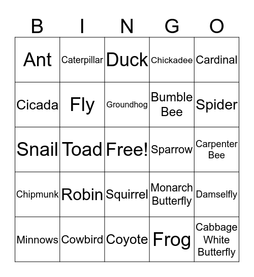 Urban Wildlife BINGO Card