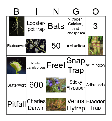 Carnivorous Plants Bingo Card