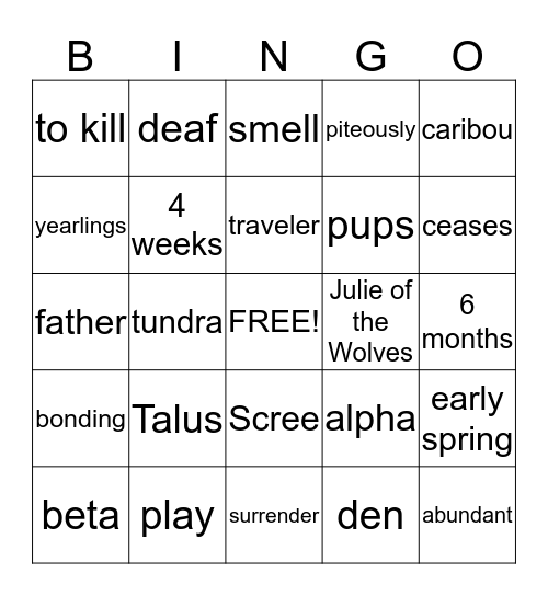 Look into the North Bingo Card