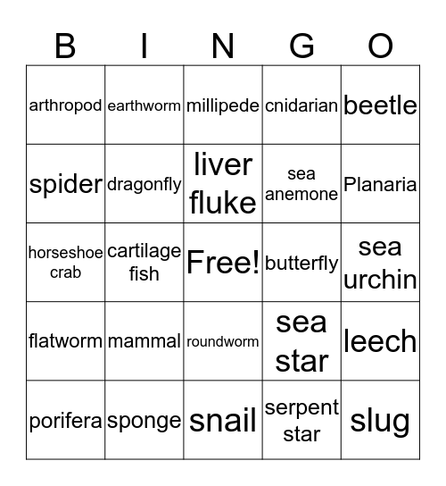 Zoology Bingo Card