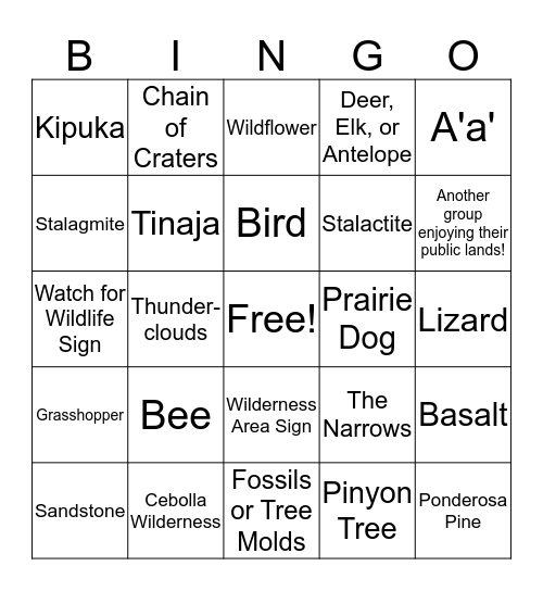 Bingo Card