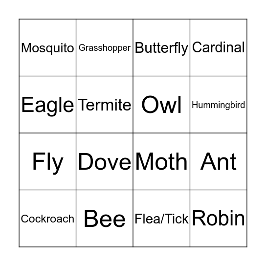 Insects and Birds Bingo Card