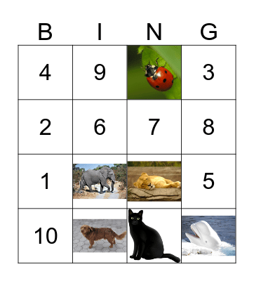 French Numbers and colors Bingo Card