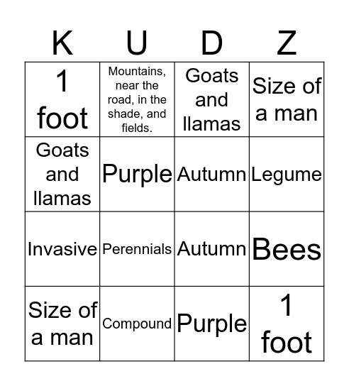 Kudzu Bingo Card