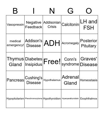 Endocrine Bingo Card