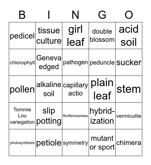 African Violet and Other Gesneriad Bingo Card