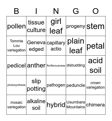 African Violet and Other Gesneriad Bingo Card
