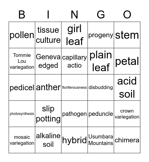 African Violet and Other Gesneriad Bingo Card