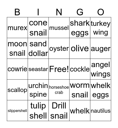 Seashell Bingo Card