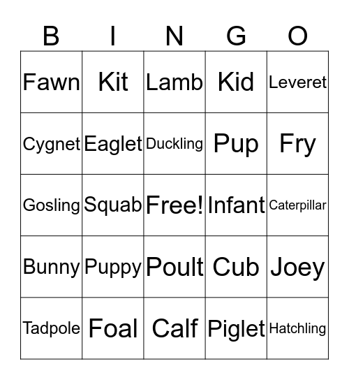 Animal Baby Name Bingo Card