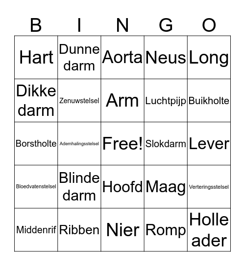 organen 2 Bingo Card