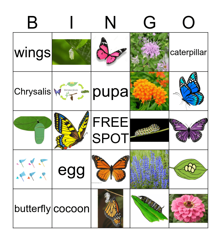 Butterfly Bingo Dotter Symmetry Fun and a FREEBIE