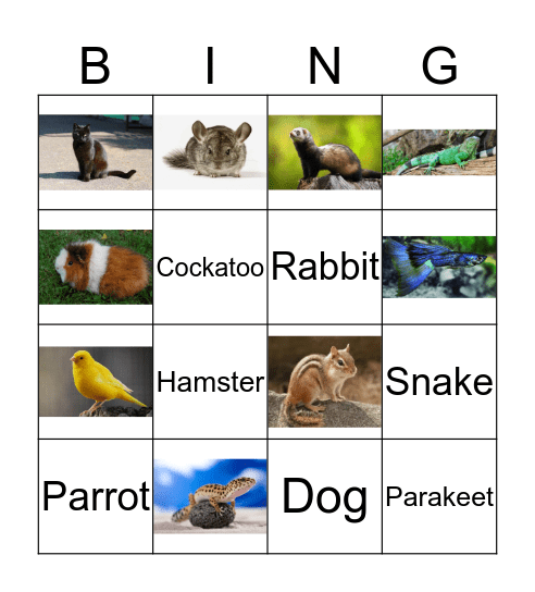 Pets Bingo Card