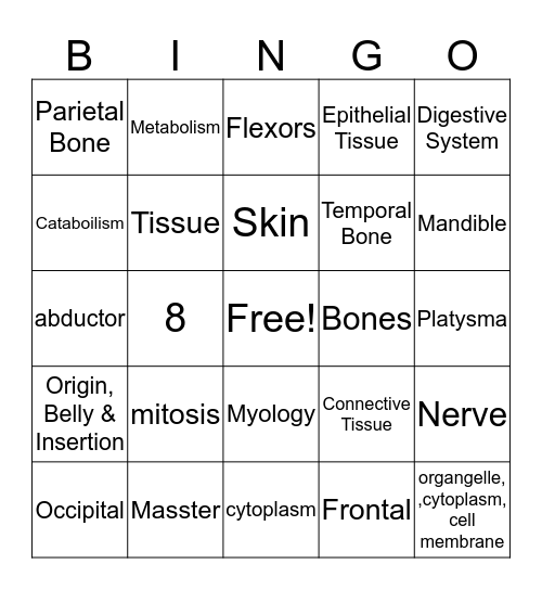 Chapter 6-Anatomy Bingo Card